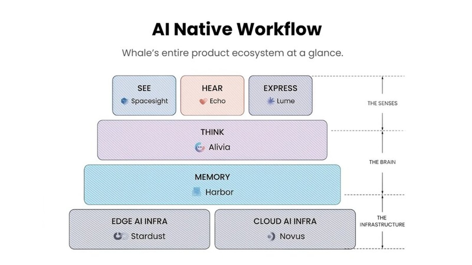 Whale Raises $40M Series C3 Extension, Bringing Total Series C to $100M, to Scale Global Enterprise AI Operations — sourced article banner